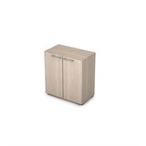4Ш.023.1 Шкаф низкий закрытый (798*446*864) 4Ш.023.1 - фото 263779